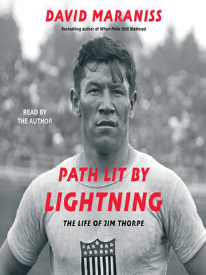 cover image of Path Lit by Lightning